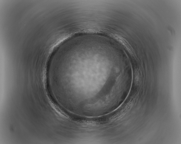 X0000113590677200909251136