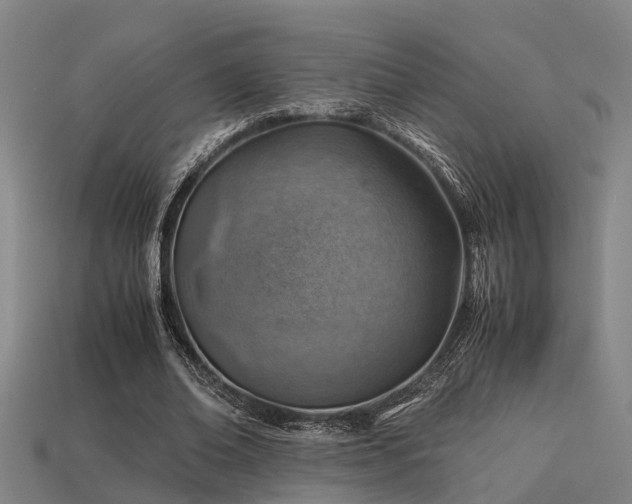 X0000113590678200909251136