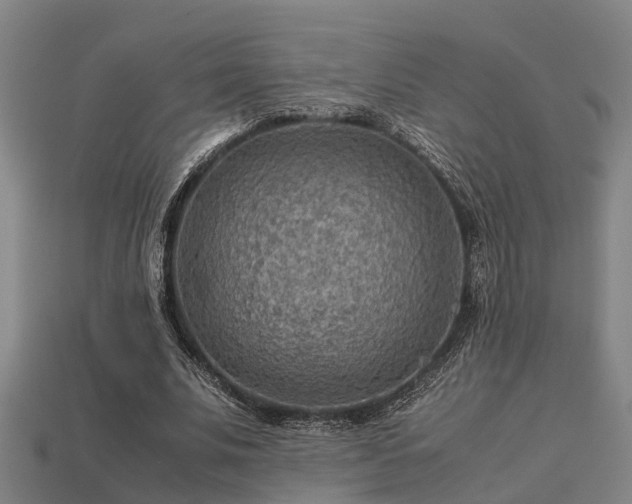 X0000113590679200909251136