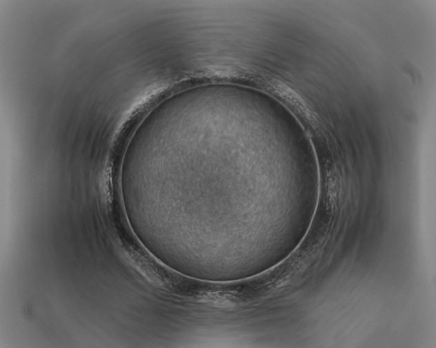 X0000113590680200909251136