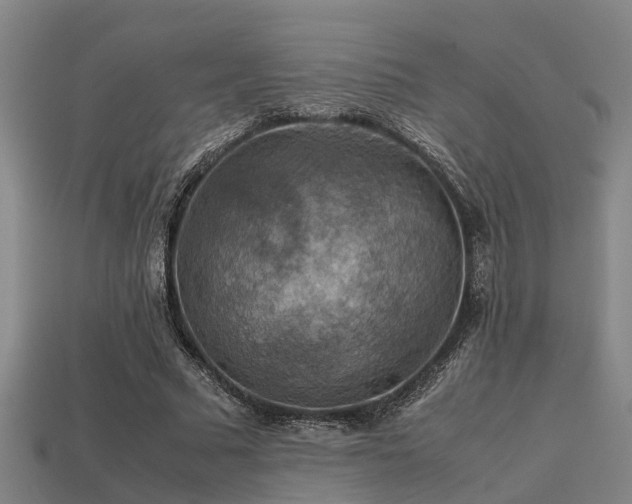 X0000113590681200909251136