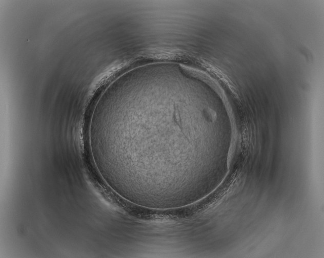 X0000113590682200909251136