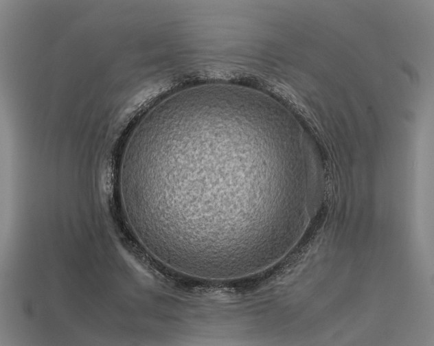 X0000113590683200909251136