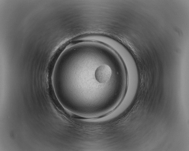 X0000113590684200909251136