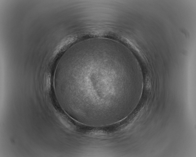 X0000113590685200909251136