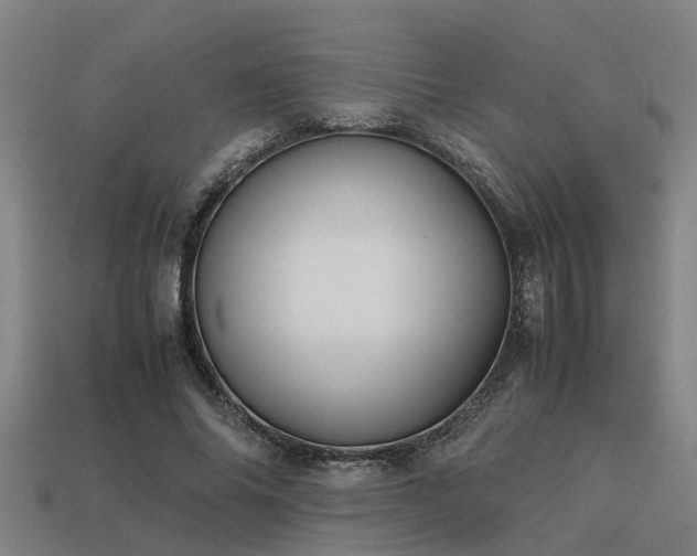 X0000113590686200909251136