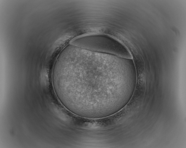 X0000113590688200909251136