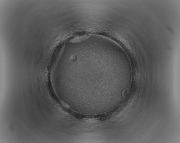 X0000113590689200909251136