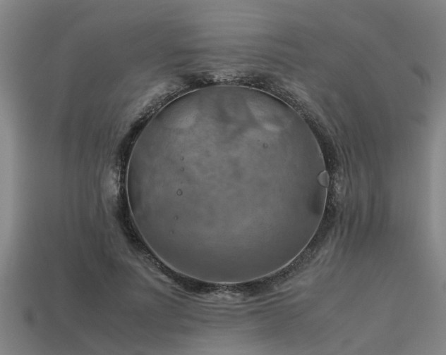 X0000113590691200909251136