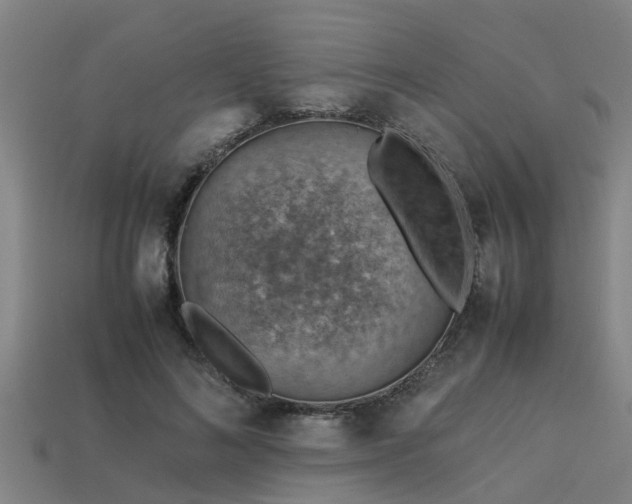 X0000113590692200909251136