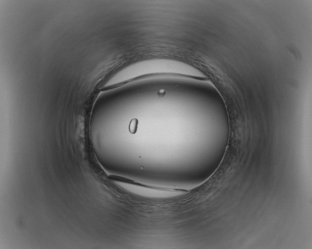 X0000113590696200909251136