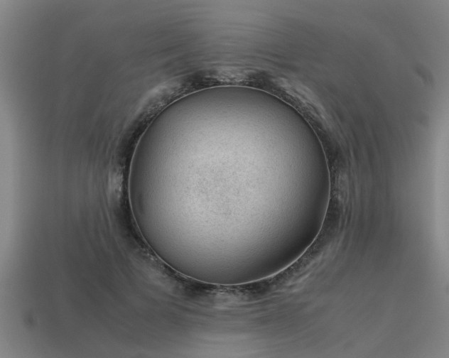 X0000113590697200909251136