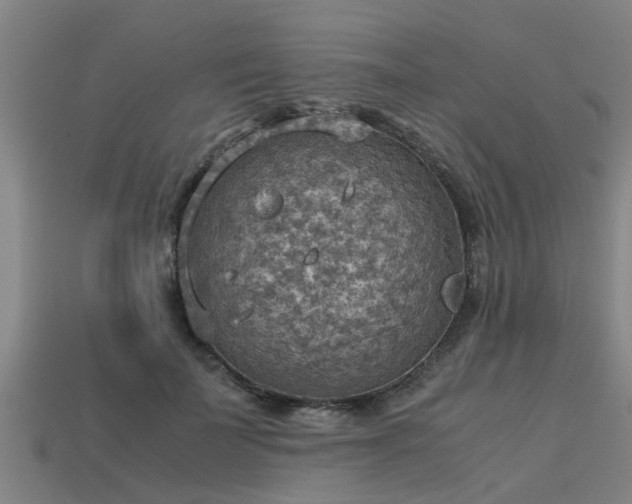 X0000113590699200909251136