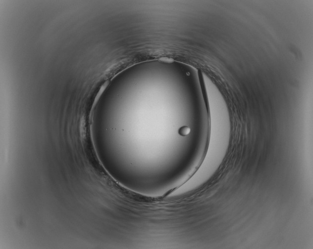 X0000113590700200909251136