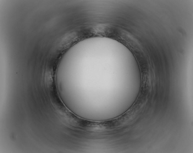 X0000113590702200909251136