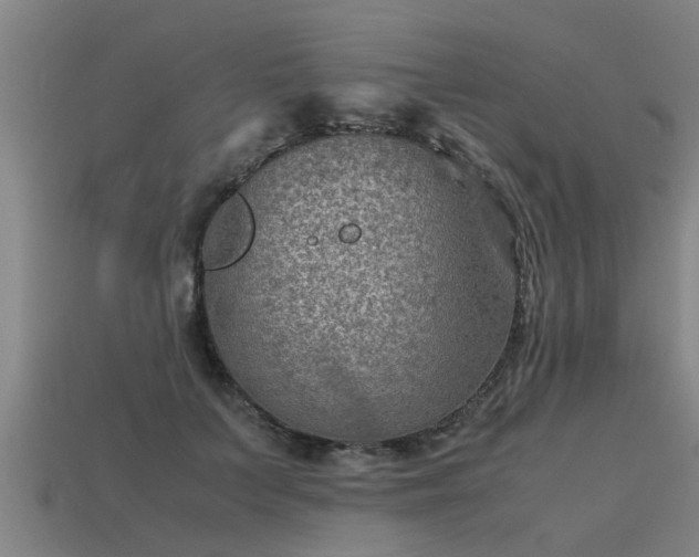 X0000113590703200909251136