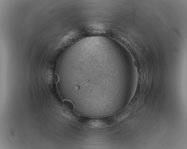 X0000113590704200909251136