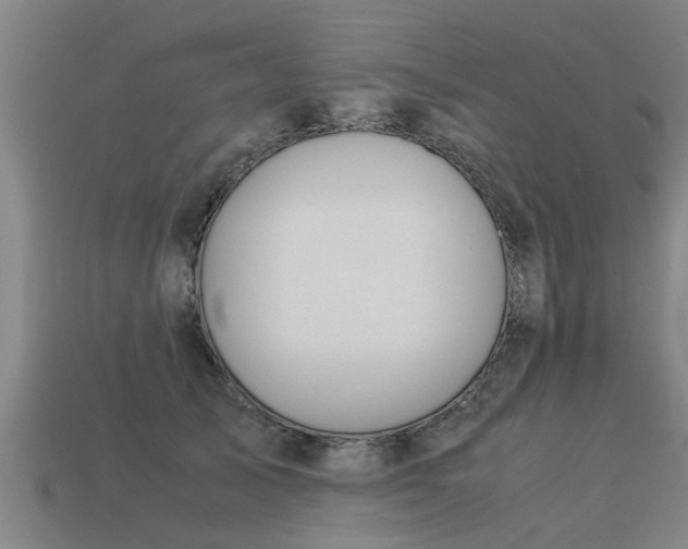 X0000113590705200909251136