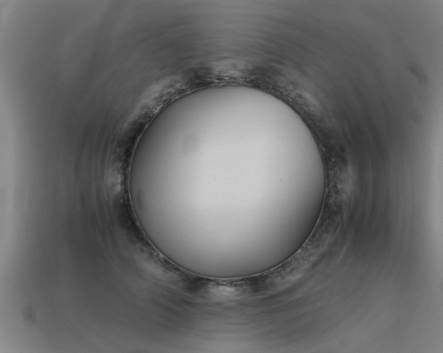 X0000113590706200909251136