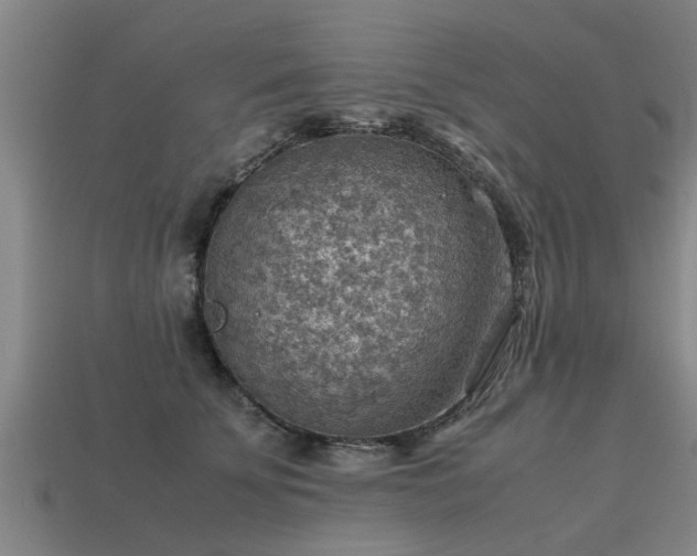 X0000113590707200909251136