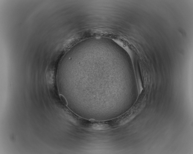 X0000113590708200909251136