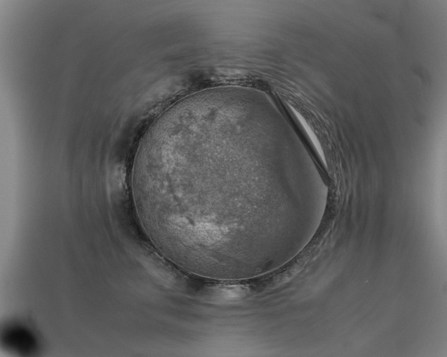 X0000113590711200909251136