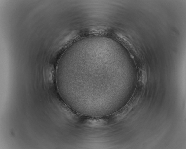 X0000113590712200909251136