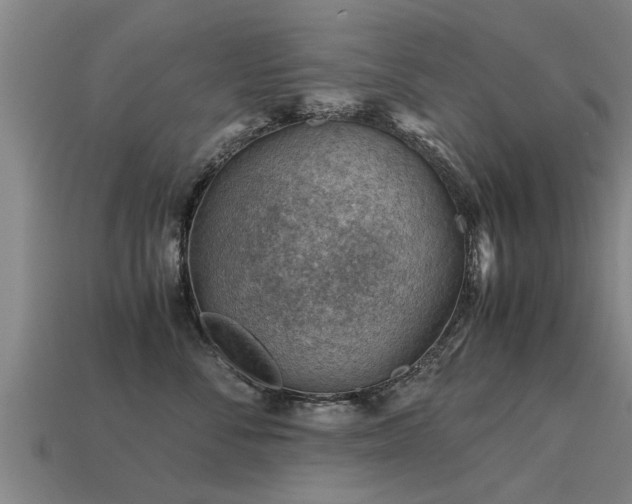 X0000113590716200909251136