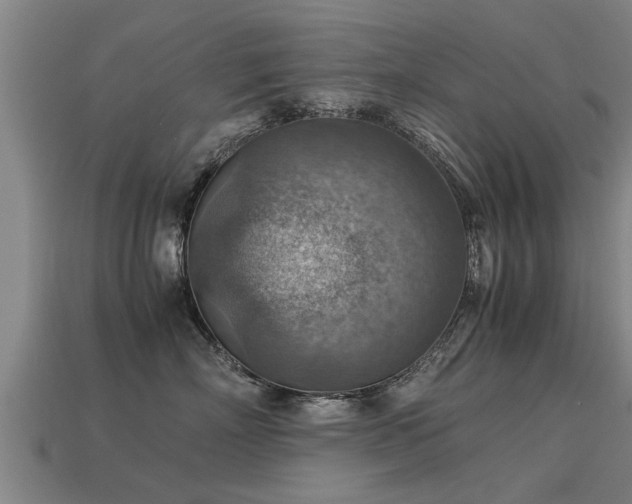 X0000113590718200909251136