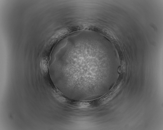 X0000113590719200909251136