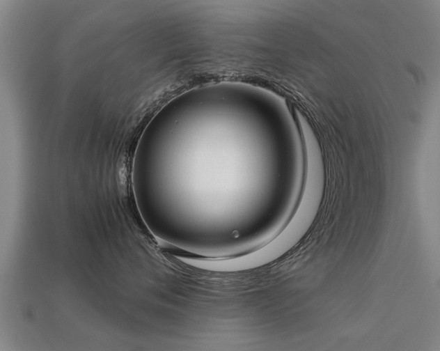 X0000113590720200909251136