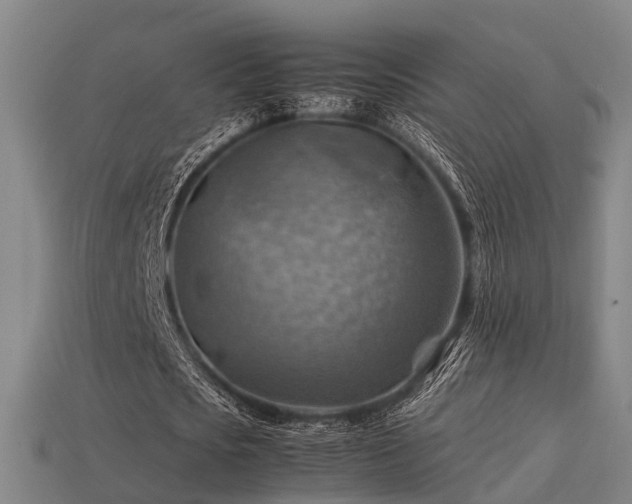 X0000113590721200909251135