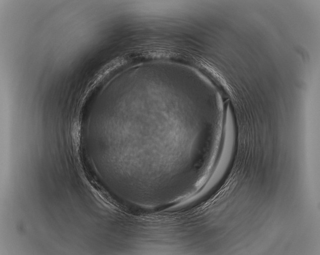 X0000113590722200909251135