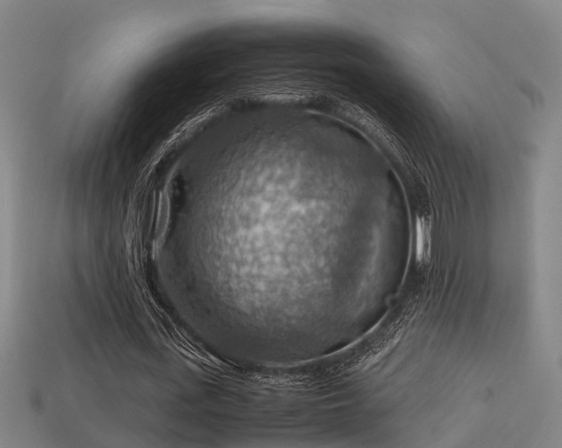 X0000113590723200909251135