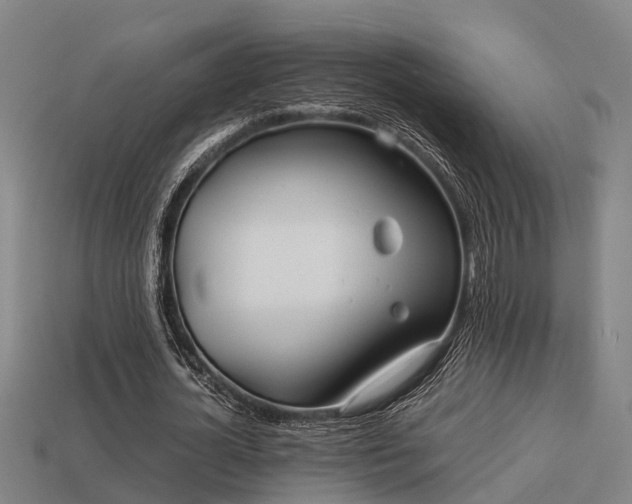 X0000113590724200909251135