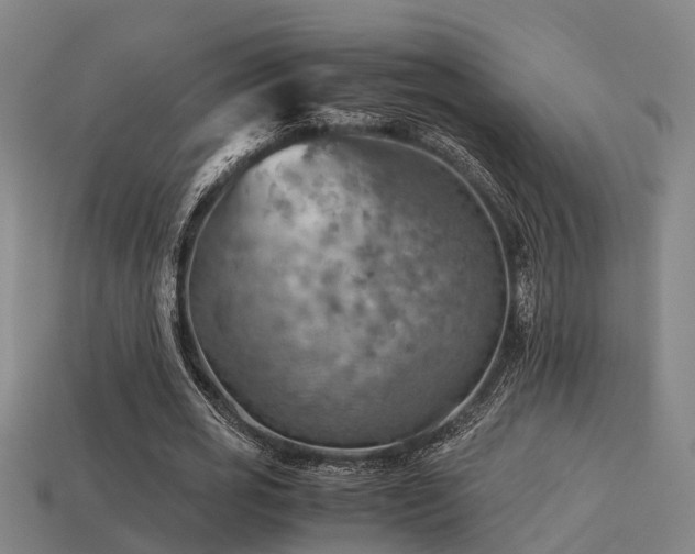 X0000113590725200909251135