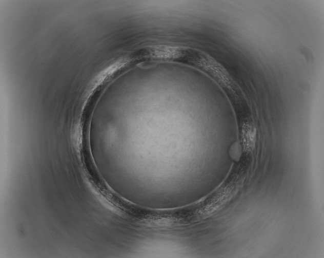 X0000113590726200909251135