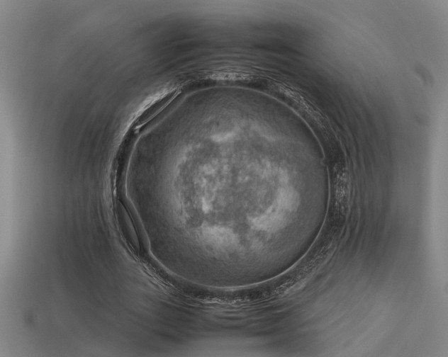 X0000113590727200909251135