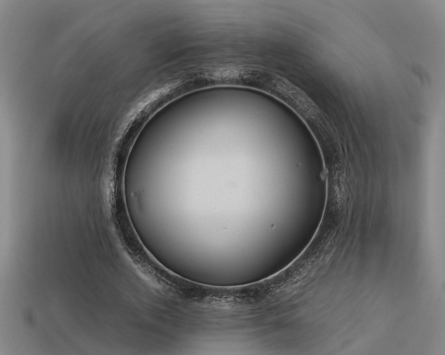 X0000113590728200909251135