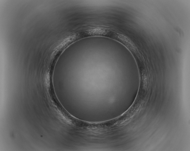 X0000113590729200909251135