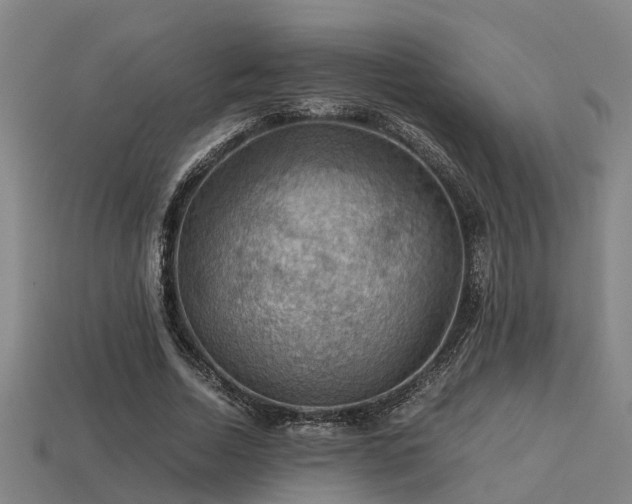 X0000113590730200909251135