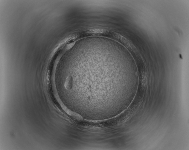 X0000113590731200909251135