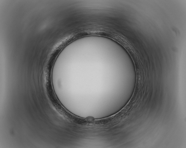 X0000113590732200909251135