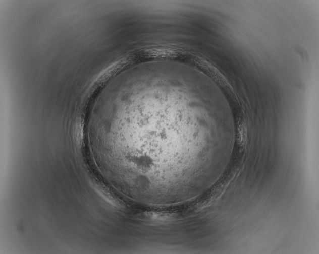 X0000113590733200909251135