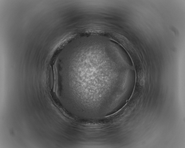 X0000113590735200909251135