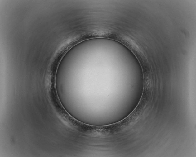 X0000113590736200909251135