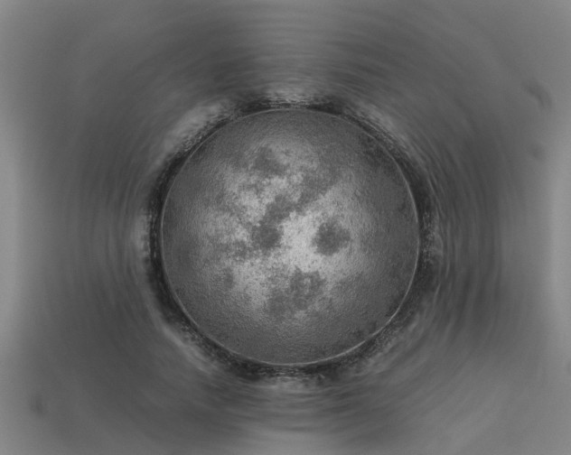 X0000113590738200909251135