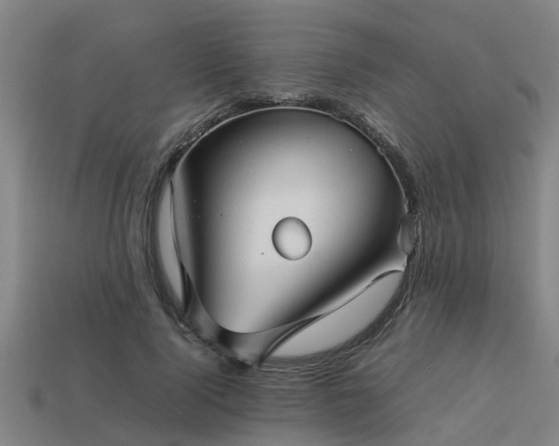 X0000113590740200909251135