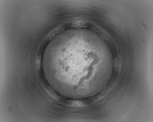 X0000113590741200909251135