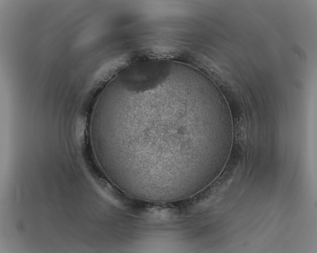 X0000113590742200909251135